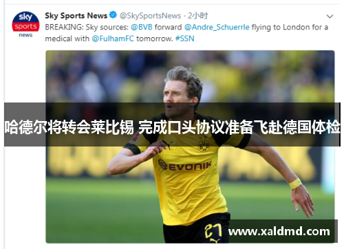 哈德尔将转会莱比锡 完成口头协议准备飞赴德国体检